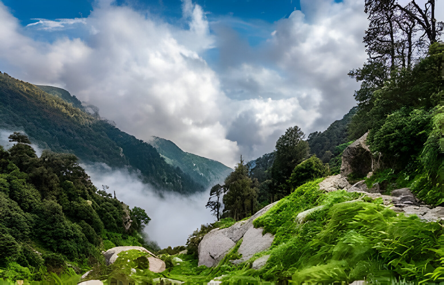 Beautiful Natural Scene in McLeodganj